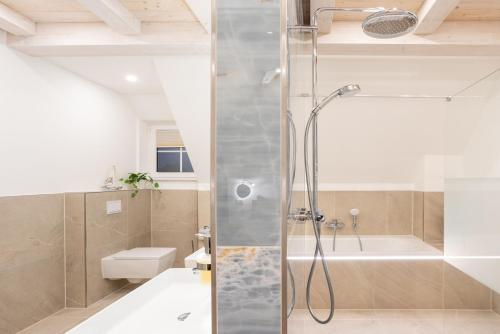 a bathroom with a shower and a toilet and a sink at Reethaus Nordlicht A Top-class in Dranske