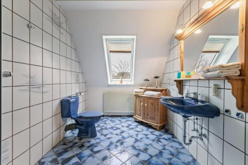 a bathroom with a blue toilet and a sink at Alte Bäckerei - Nis Puk in Rodenäs