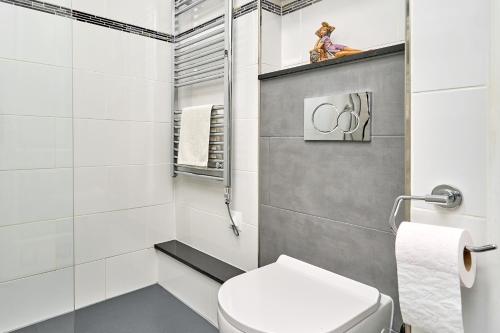 a bathroom with a toilet and a shower at Ferienwohnung Peñoncillo in Torrox
