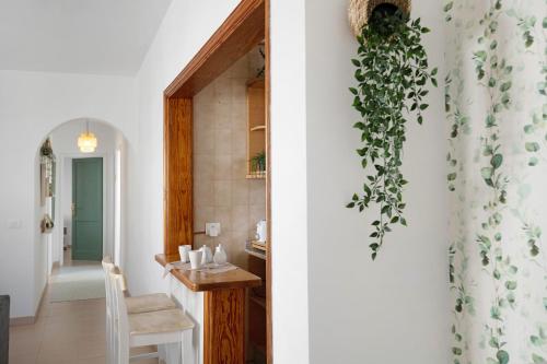 a room with a table and a plant on the wall at Los Alisios del Patron in Playa Honda