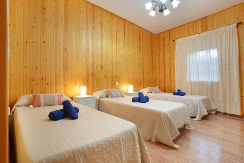 three beds in a room with wooden walls at Casa Dayaday in Puerto del Rosario