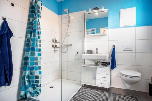 a bathroom with a shower toilet and a sink at Landglück in Hohenmocker