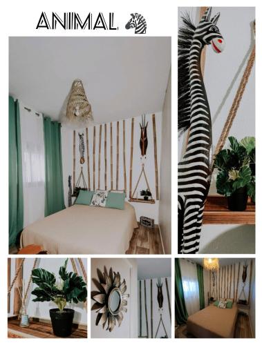 a collage of pictures of a room with a zebra and a bed at Sombrero Cordobé in Córdoba