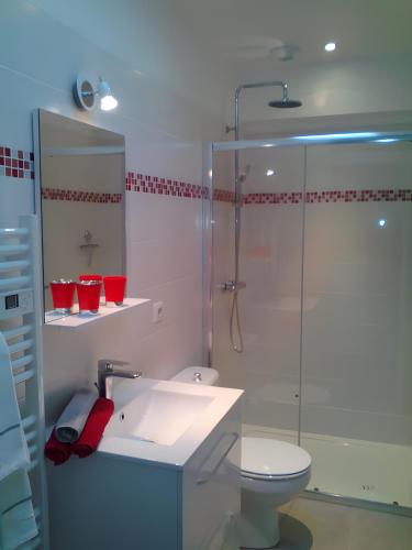 a bathroom with a shower and a sink and a toilet at Charmant appartement à Ainhoa in Ainhoa