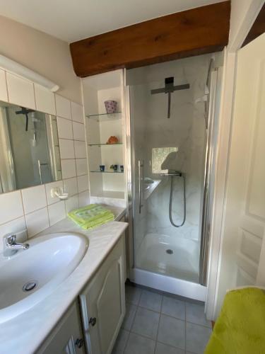 a bathroom with a sink and a shower at Mas Les Coutilles in Cabrières-dʼAvignon