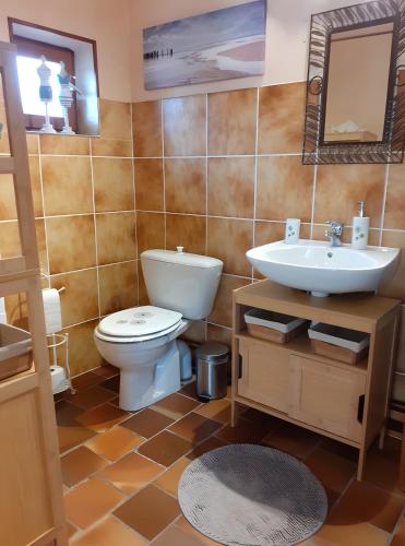 a bathroom with a toilet and a sink at Maisonnette Cocooning en Sologne in Gy-en-Sologne