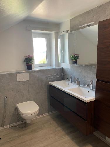 a bathroom with a sink and a toilet and a mirror at promedklinik apartment 3 in Volkach