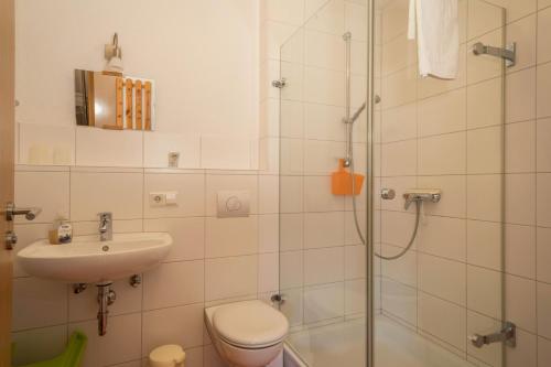 a bathroom with a shower and a toilet and a sink at Ferienhof Sauter Romanshorn in Neukirch
