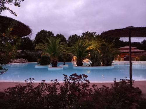 a large swimming pool at night with palm trees at Maison de vacances Proche Arcachon in La Teste-de-Buch
