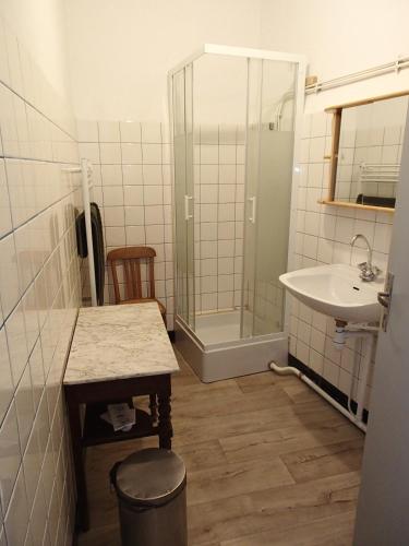 a small bathroom with a sink and a shower at Appartement Authentique Montaigut in Gissac