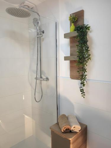 a shower in a bathroom with a glass shower stall at Dreimäderlhof Ferienhaus in Karlstetten