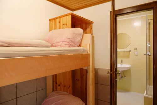 a bedroom with a bunk bed and a bathroom at Wasserfall in Stall