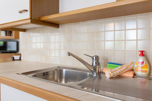 a stainless steel sink in a kitchen at Mayr Apartments Eins in Plaus