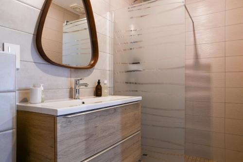 a bathroom with a sink and a mirror at Chez Flo - clim parking - clg in Saint-Pierre-dʼAlbigny