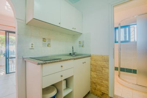 a kitchen with a sink and a shower at Family apartment in Corfu