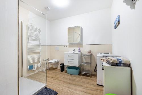 a bathroom with a shower and a sink and a toilet at Apartment On The Upper Floor in Bokelrehm