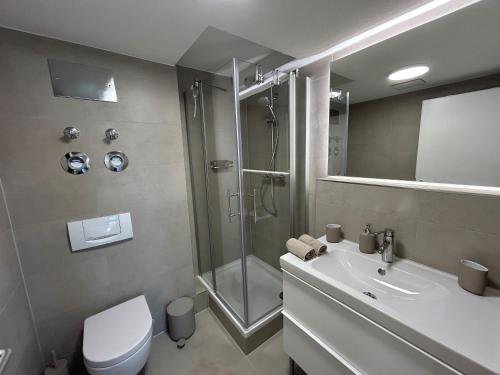 a bathroom with a shower and a toilet and a sink at Ferienapartment Olivia in Bodman-Ludwigshafen