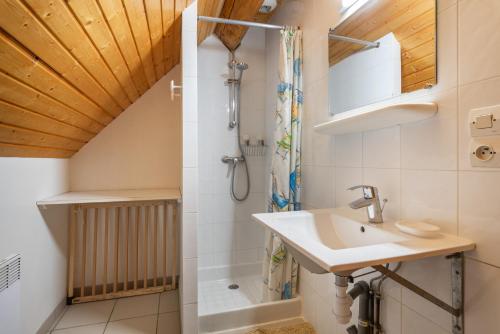 a bathroom with a sink and a shower at Chartrousin in Saint-Hilaire