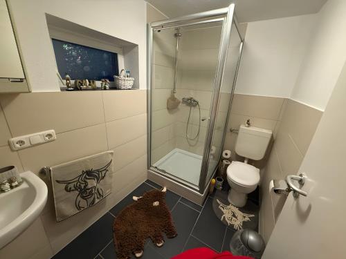 a small bathroom with a shower and a toilet at Ferienwohnung Silbergarten in Clausthal-Zellerfeld