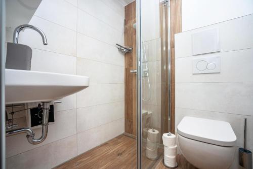 ein Badezimmer mit Toilette, Waschbecken und Dusche in der Unterkunft Q-stadl in Steibis