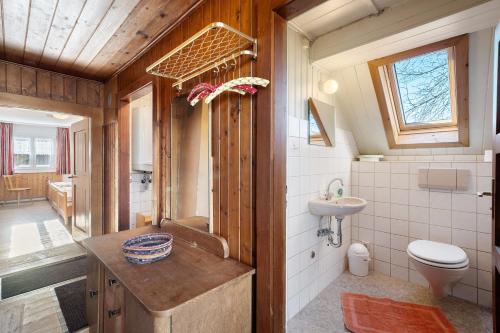 a bathroom with a sink and a toilet and a sink at Hofgut Dürrenbühl in Grafenhausen