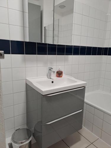 a bathroom with a sink and a mirror and a tub at Meublé 3 étoiles en centre-ville in Niederbronn-les-Bains