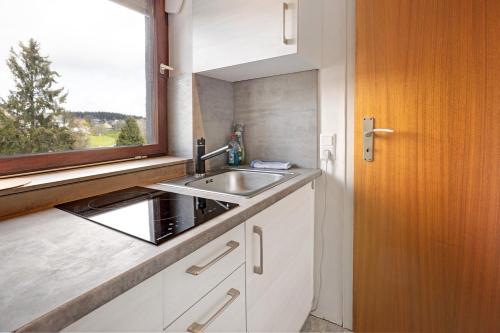 a small kitchen with a sink and a window at Isabell in Schönwald