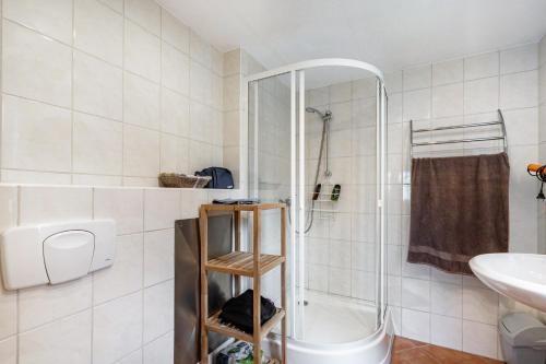 a bathroom with a shower and a toilet and a sink at Bungalow 73 in Zadelsdorf