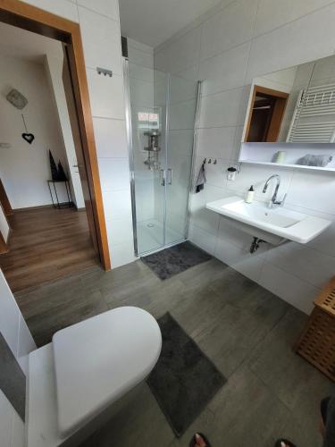 ein Badezimmer mit Toilette und Waschbecken in der Unterkunft Am Strohberg in Petersburg
