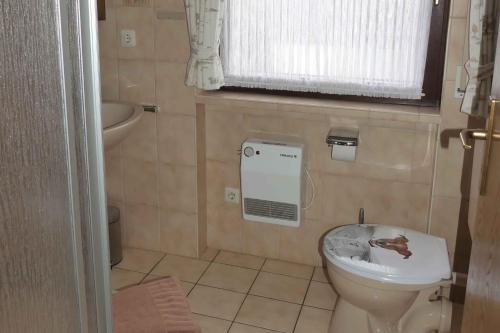 a small bathroom with a toilet and a window at Ferienwohnung Nordenau in Schmallenberg