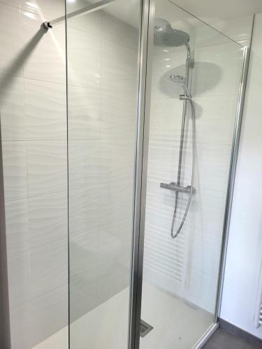 a shower with a glass door in a bathroom at Gîte Bord De Mer La Guichardière in Pirou