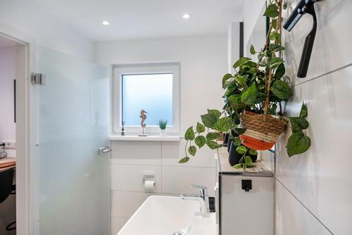 a bathroom with a sink and a potted plant at Tor zum Hochwald in Thomm