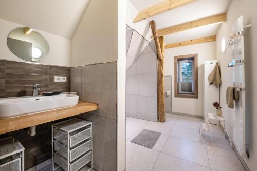 a bathroom with a sink and a shower at Schwalbenloft in Wagenfeld
