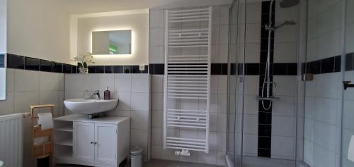 ein Badezimmer mit Waschbecken und Dusche in der Unterkunft Haus Oderbruch in Neulewin