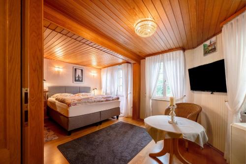 a bedroom with a bed and a television and a table at Am Fischertor in Bad Kreuznach