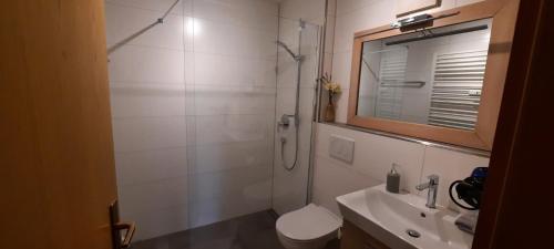 a bathroom with a shower and a toilet and a sink at Chaletwohnung Alpenglück in Burgberg
