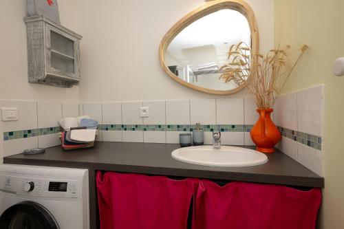 a bathroom with a sink and a washing machine at Le Balcon des Bauges in La Motte-Servolex