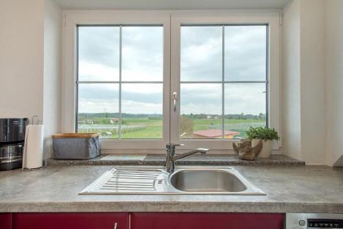a kitchen counter with a sink and a window at Biohof Stotz in Friedrichshafen