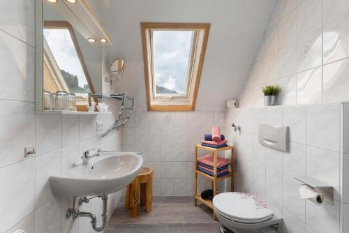 a white bathroom with a sink and a toilet at Schlegelhansenhof in Buchenbach