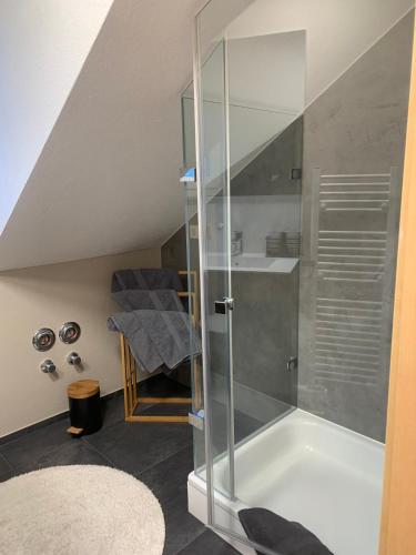 a bathroom with a shower and a bath tub at Haus Zum Haiden in Bodman-Ludwigshafen