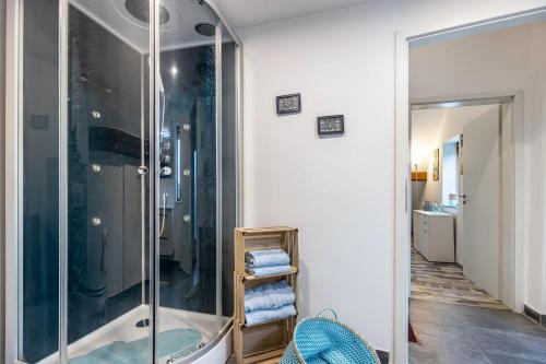 a bathroom with a shower and a mirror at Ferienwohnung Albatros Steinhude in Wunstorf