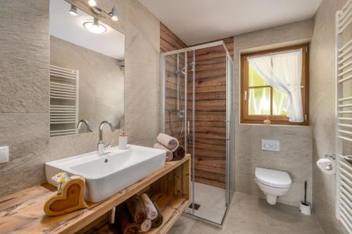 a bathroom with a sink and a shower and a toilet at Tratterhof Apt Astjoch in Vandoies