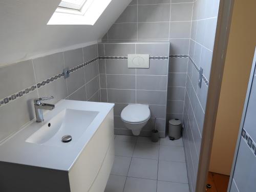 a white bathroom with a toilet and a sink at Gite De La Guillone in Savignac