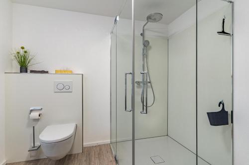 a bathroom with a toilet and a glass shower at Ferienwohnung Schätzle in Schuttertal