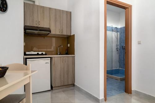 a kitchen with a white refrigerator and a shower at Iguana studio 12 in Preveza