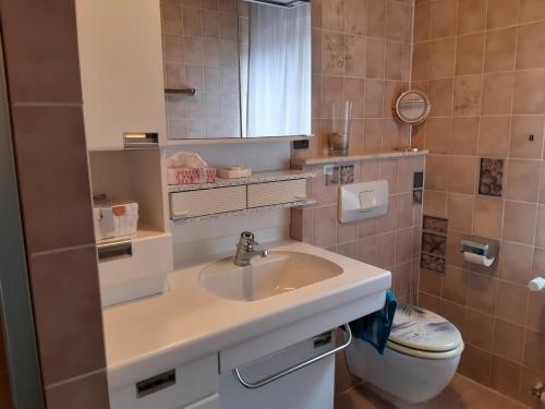 a bathroom with a sink and a toilet at Ferienwohnung Mühlengrün in Oberwolfach