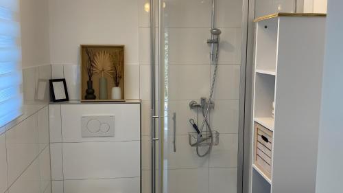 a shower with a glass door in a bathroom at Pfoten und Berge Oberreute in Oberreute