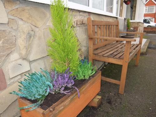 a bench and plants next to a stone wall at The Monsell Hotel in Skegness