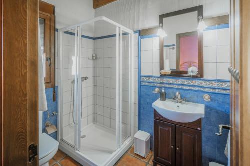 a bathroom with a shower and a sink at El Pico Llanillo in San Miguel del Arroyo