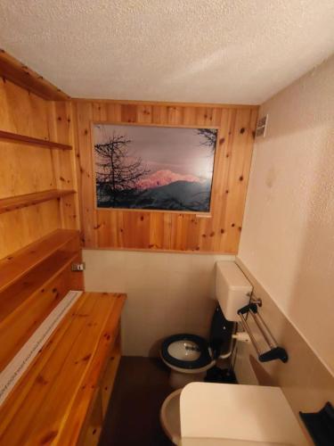 a bathroom with a toilet and a picture on the wall at Casa Rita - Pila in Gressan